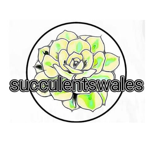 SucculentsWales